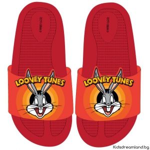 Чехли за момче Looney Tunes